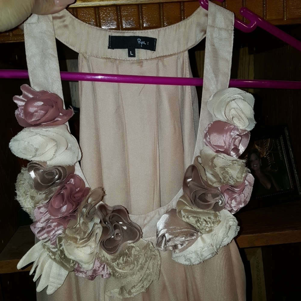 Beautiful champagne colored dress.